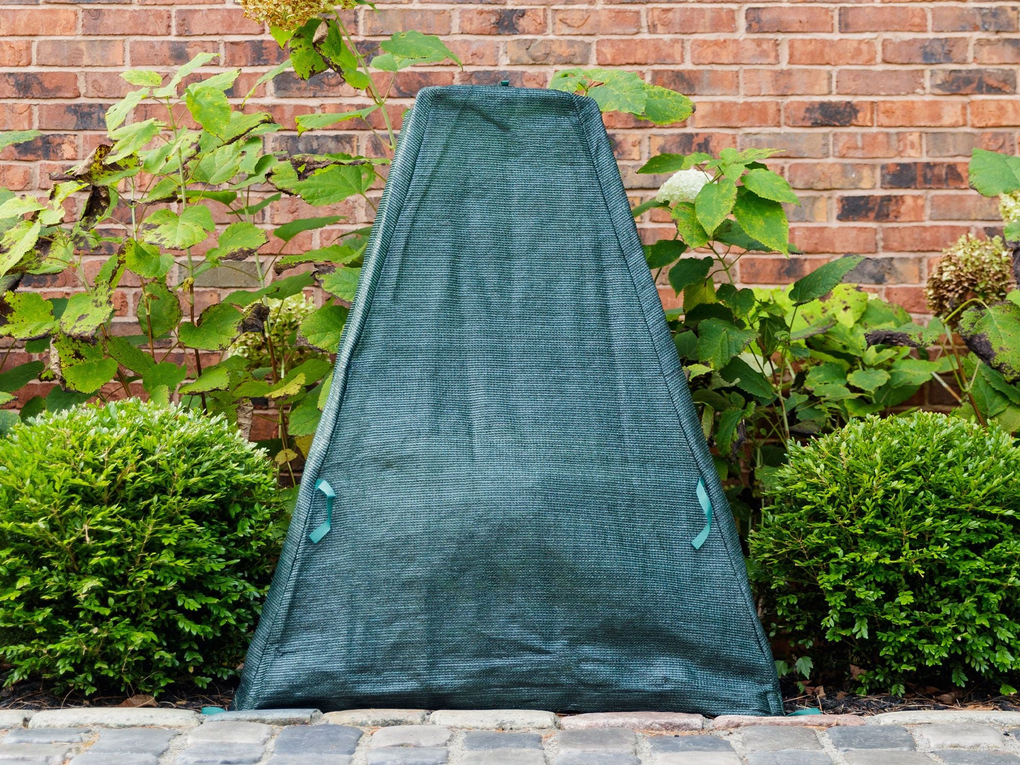 Shrub Protection Cover–36x36x40 in.