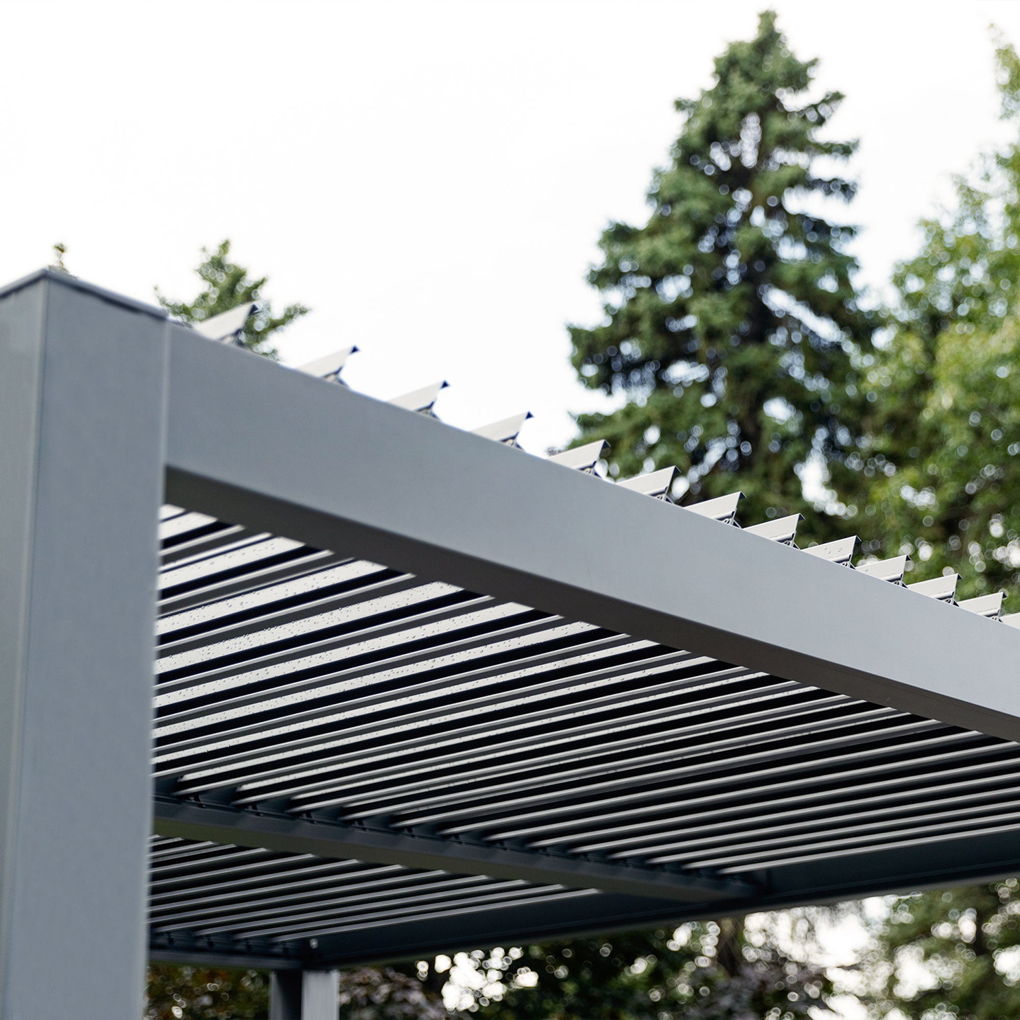 Nikko 10 x10 Aluminum Wall Mounted Pergola