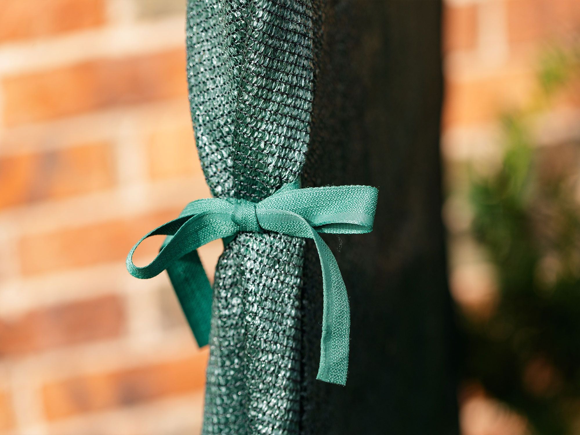 Shrub Protection Cover–22x22x24 in.