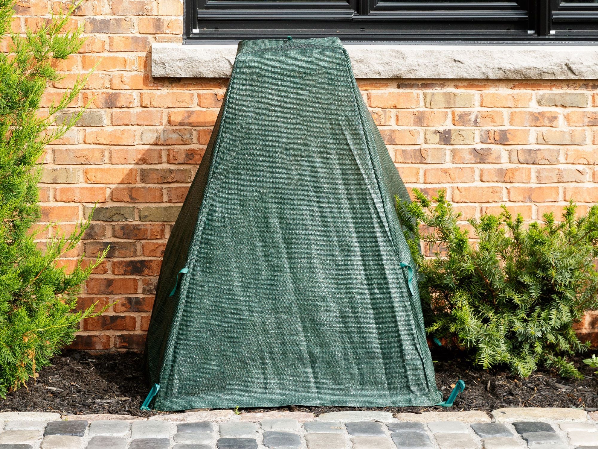 Shrub Protection Cover–28x28x34 in.