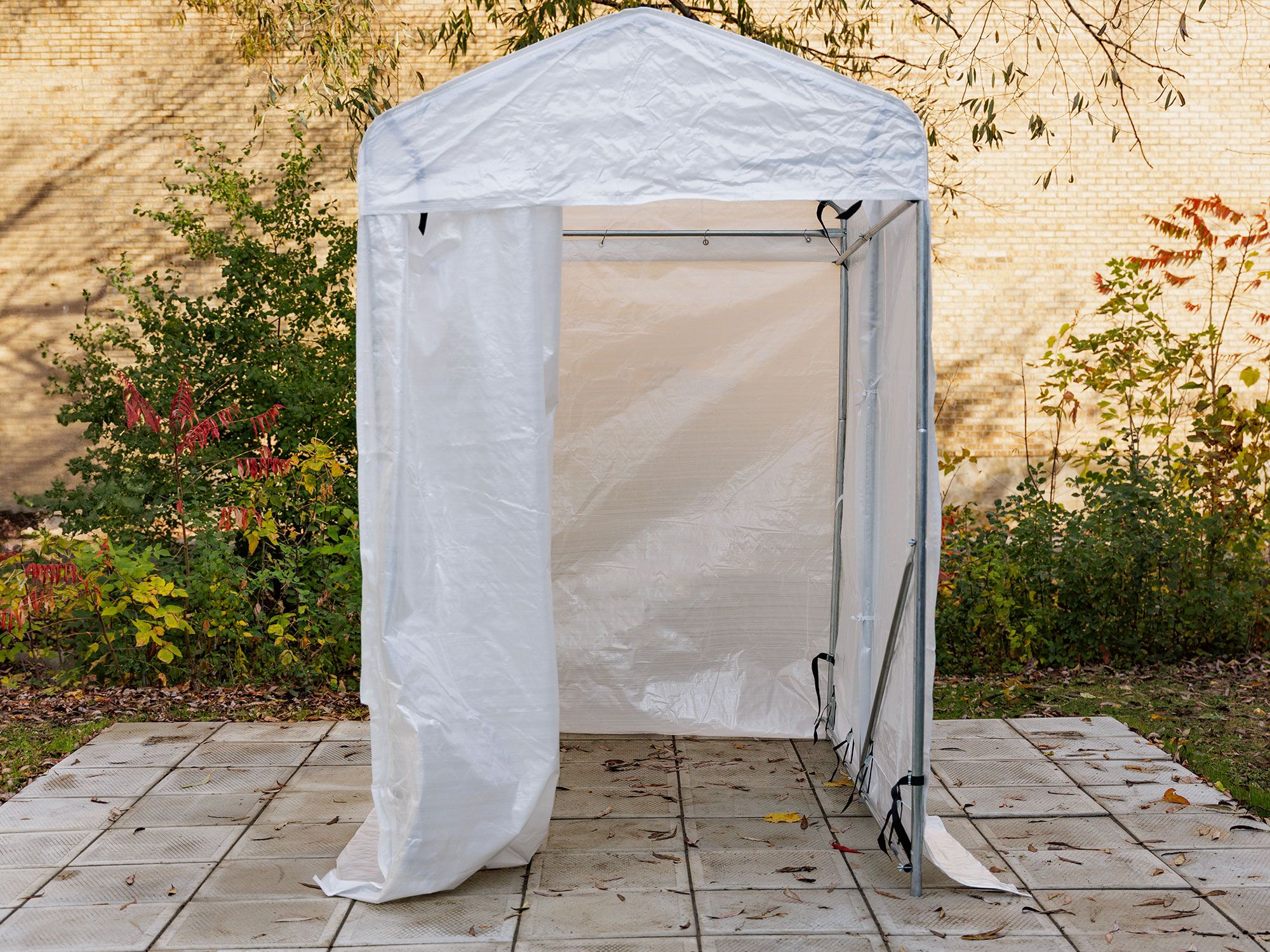 Abri utilitaire 5×8