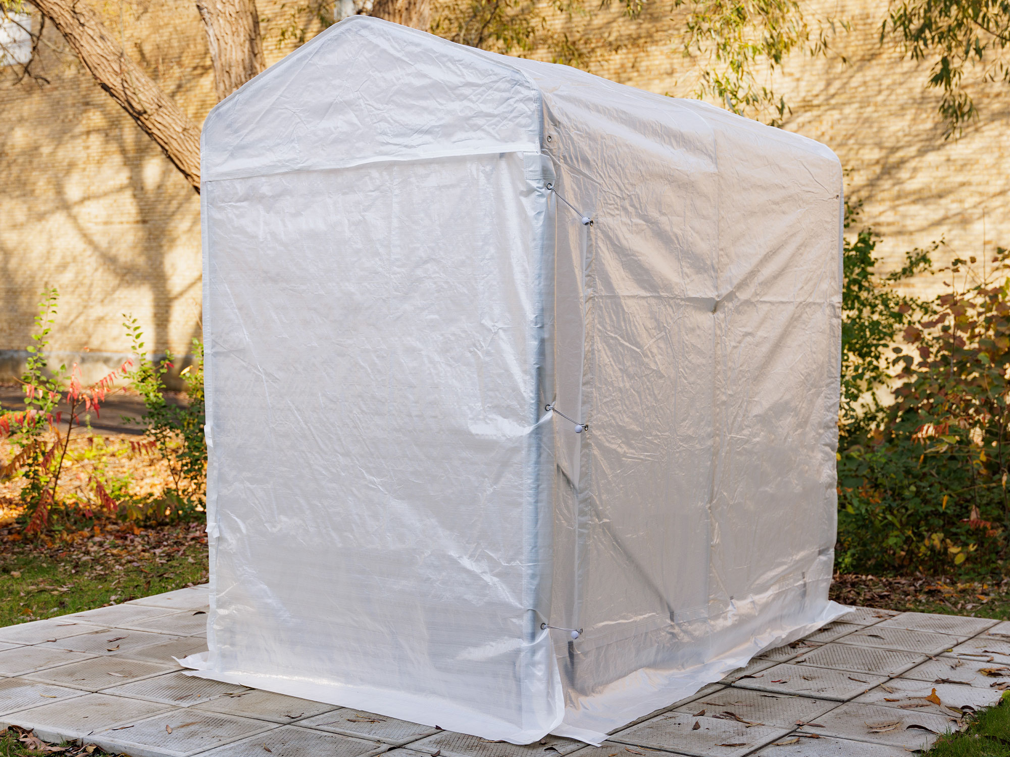 Abri utilitaire 5×8