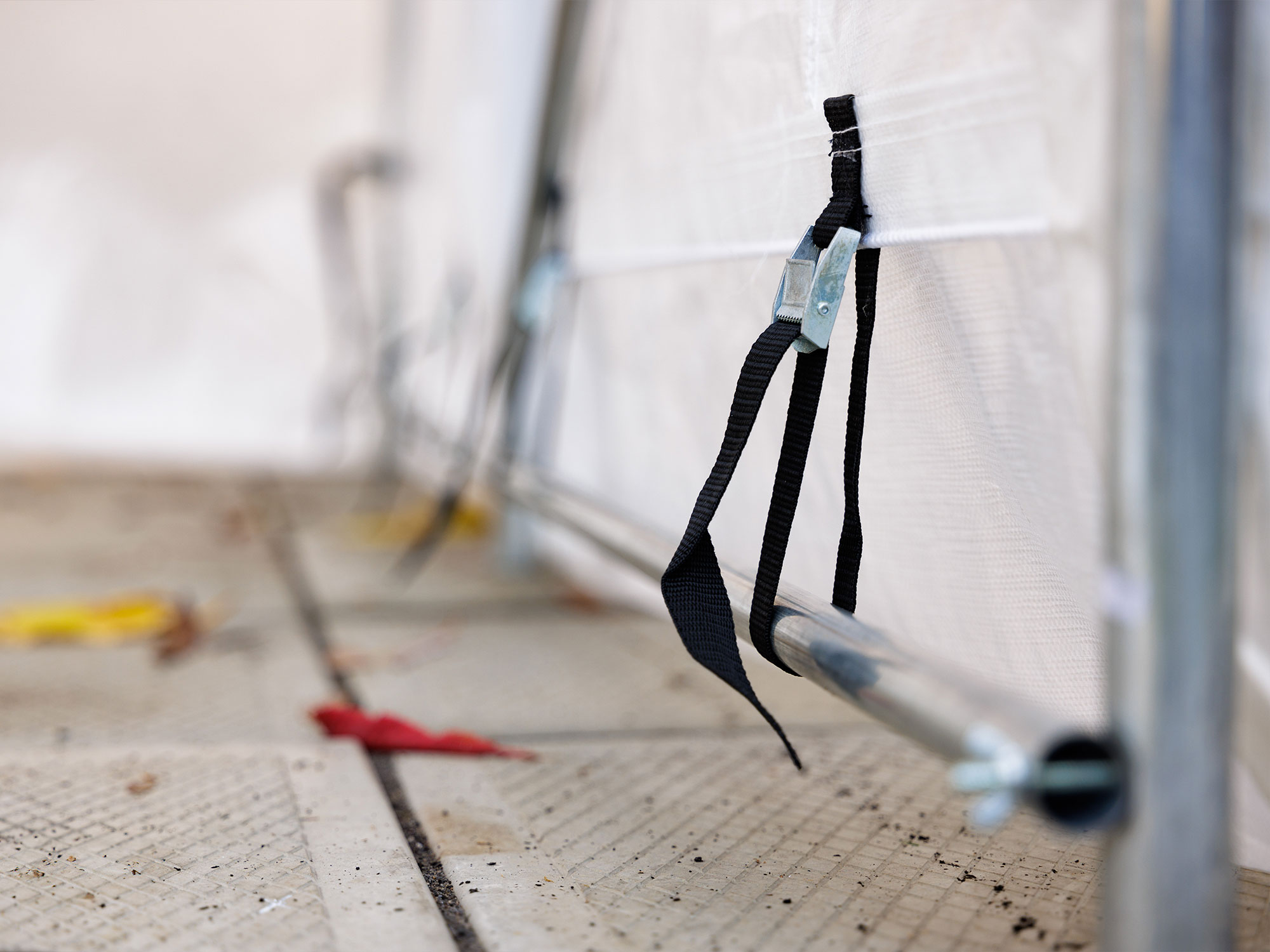 Abri utilitaire 5×8